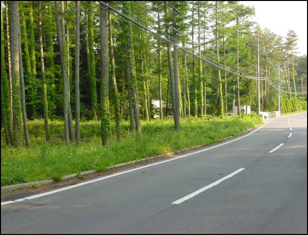 勝山　売地